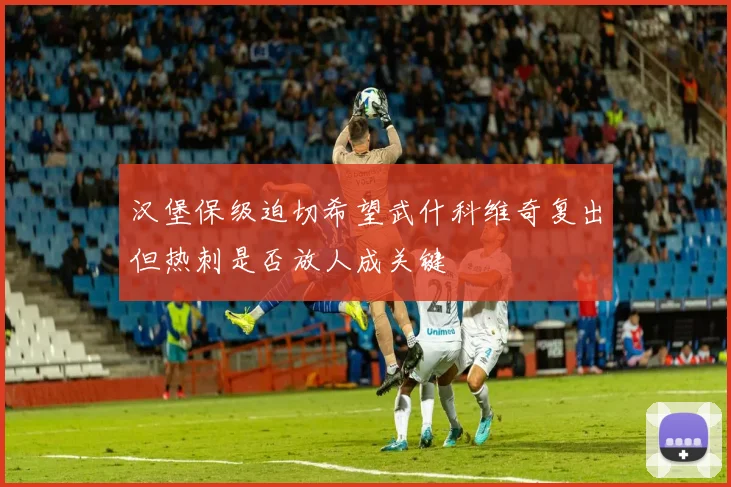 汉堡保级迫切希望武什科维奇复出但热刺是否放人成关键